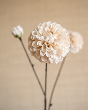 Faux Flower Dahlia Cream - Things I Like Things I Love