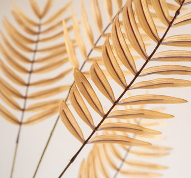 Faux Flower Fern Natural - Things I Like Things I Love