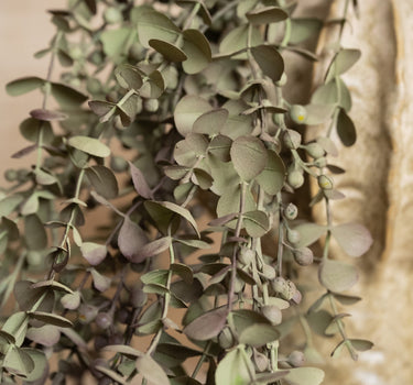 Faux Flower Hanging Eucalyptus Green - Things I Like Things I Love