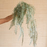 Faux Flower Hanging Fern - Things I Like Things I Love