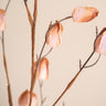 Faux Flower Lunaria Pink - Things I Like Things I Love