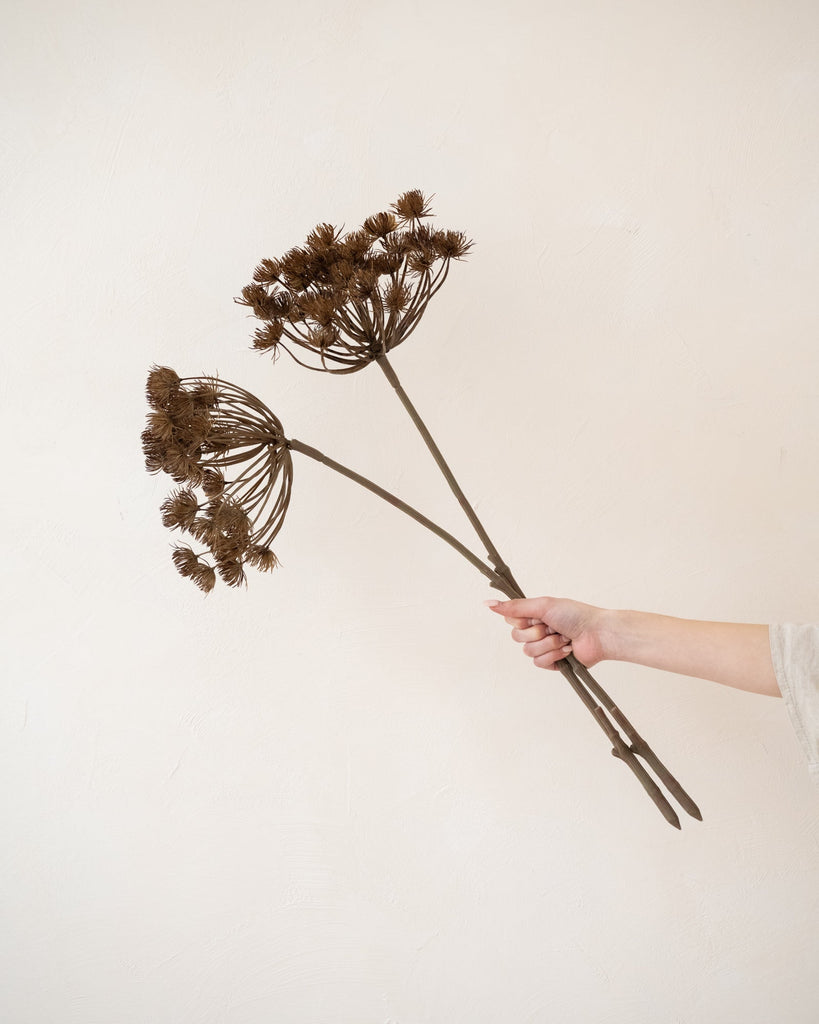 Faux Flower Orlaya Brown - Things I Like Things I Love