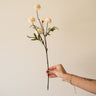 Faux Flower Pompom Beige - Things I Like Things I Love