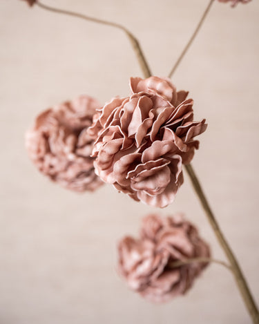 Faux Flower Pompom Eva Pink - Things I Like Things I Love