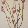 Faux Flower Rice Pink - Things I Like Things I Love