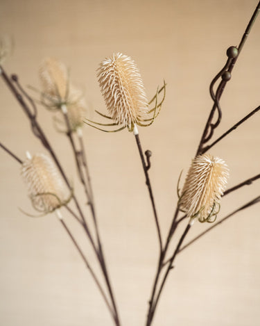 Faux Flower Thistle Beige - Things I Like Things I Love