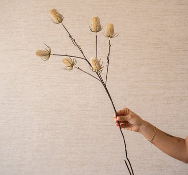 Faux Flower Thistle Beige - Things I Like Things I Love