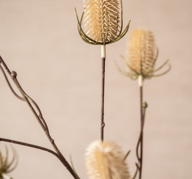 Faux Flower Thistle Beige - Things I Like Things I Love