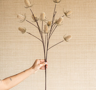 Faux Flower Thistle Beige - Things I Like Things I Love