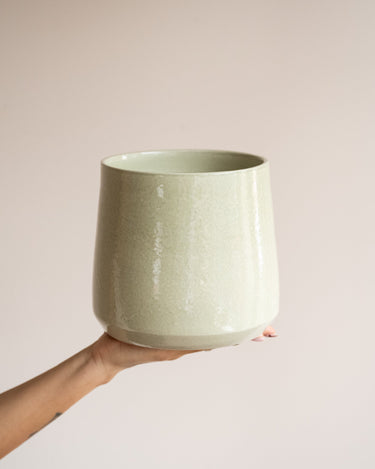 Faux Olive Tree With Pot Zenna Green - Things I Like Things I Love