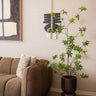 Faux Tree Acer Green - Things I Like Things I Love