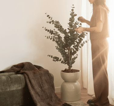 Faux Tree Eucalyptus Green - Things I Like Things I Love