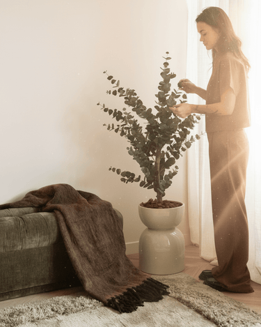 Faux Tree Eucalyptus Green - Things I Like Things I Love