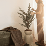 Faux Tree Eucalyptus Green - Things I Like Things I Love