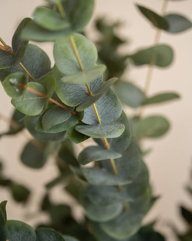 Faux Tree Eucalyptus Green - Things I Like Things I Love