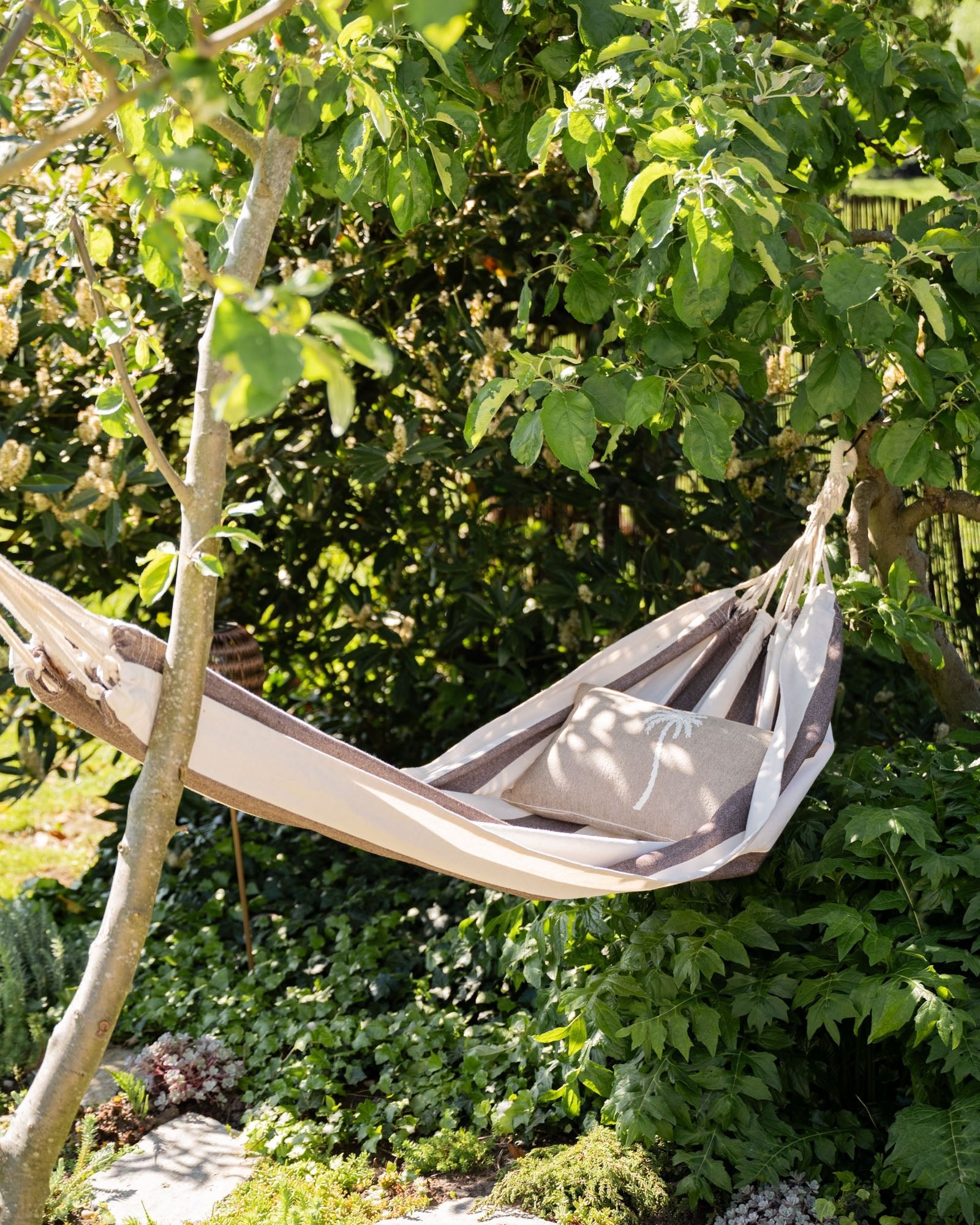 Hammock Striped Brown