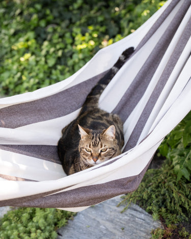 Hammock Striped Brown