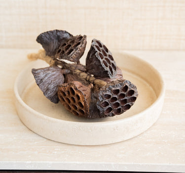 Hanging Dried Lotus - Things I Like Things I Love