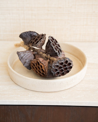 Hanging Dried Lotus - Things I Like Things I Love