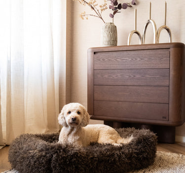 Hondenmand Tibetan Lamb Bruin - Things I Like Things I Love