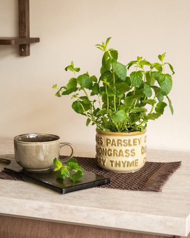 Kruidenpot Botanica Groen - Things I Like Things I Love