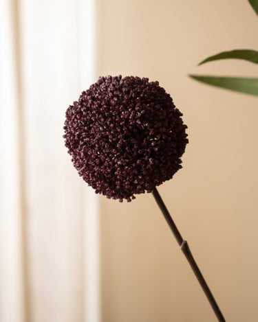 Kunstbloem Allium Aubergine - Things I Like Things I Love