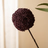 Kunstbloem Allium Aubergine - Things I Like Things I Love