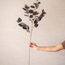 Kunstbloem Eucalyptus Paars - Things I Like Things I Love