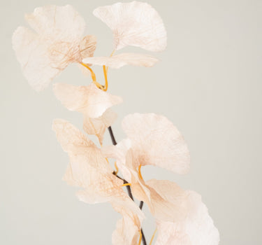 Kunstbloem Ginkgo Beige - Things I Like Things I Love