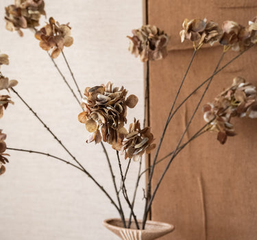 Kunstbloem Hortensia Bruin - Things I Like Things I Love