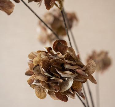 Kunstbloem Hortensia Bruin - Things I Like Things I Love