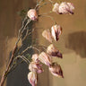 Kunstbloem Leucocoryne Roze - Things I Like Things I Love