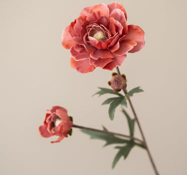 Kunstbloem Ranonkel Roze - Things I Like Things I Love