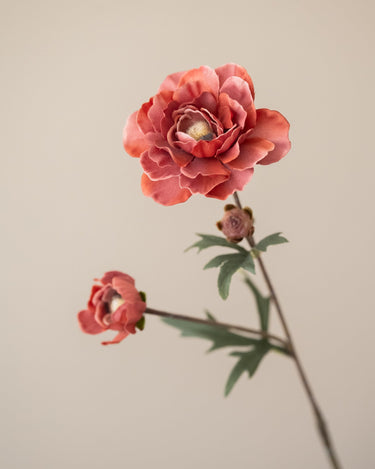 Kunstbloem Ranonkel Roze - Things I Like Things I Love