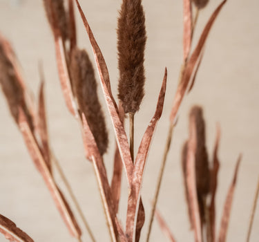 Kunstbloem Typha Bruin - Things I Like Things I Love
