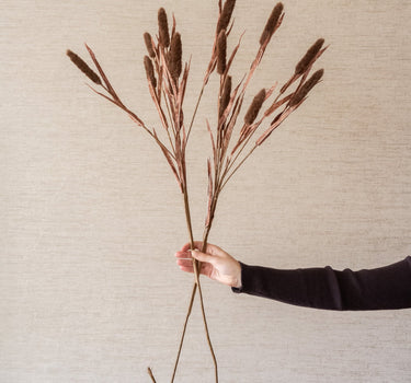 Kunstbloem Typha Bruin - Things I Like Things I Love