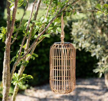 Lantern Chill Wavy Solar - Things I Like Things I Love