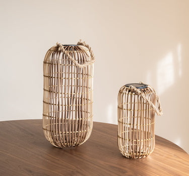 Lantern Chill Wavy - Things I Like Things I Love