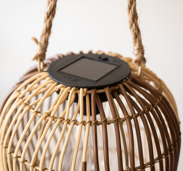 Lantern Chill Wavy - Things I Like Things I Love