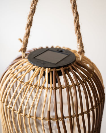 Lantern Chill Wavy - Things I Like Things I Love