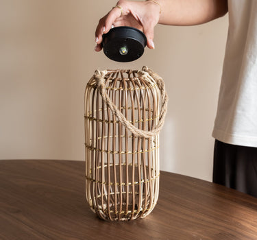 Lantern Chill Wavy - Things I Like Things I Love