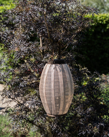 Lantern Elle Solar - Things I Like Things I Love