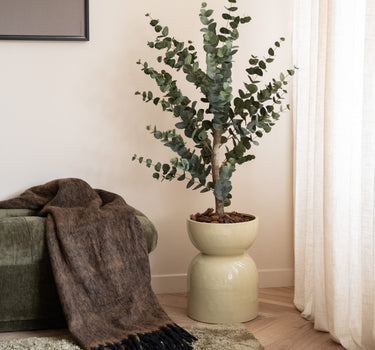 Large Planter Mimea Enamel Green - Things I Like Things I Love