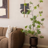 Large Planter Toval Brown - Things I Like Things I Love