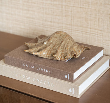 Ornament Shell Brown - Things I Like Things I Love