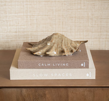 Ornament Shell Brown - Things I Like Things I Love