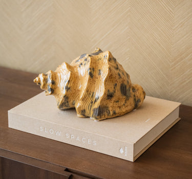 Ornament Shell Marine Speckled - Things I Like Things I Love