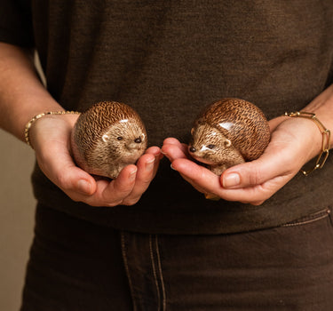 Salt & Pepper Hedgehog - Things I Like Things I Love