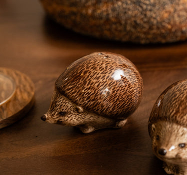 Salt & Pepper Hedgehog - Things I Like Things I Love