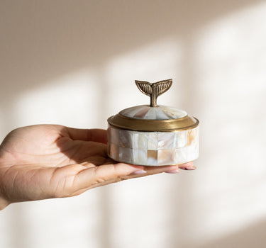 SET OF 3 - Circus Box Pearly Sea - Things I Like Things I Love